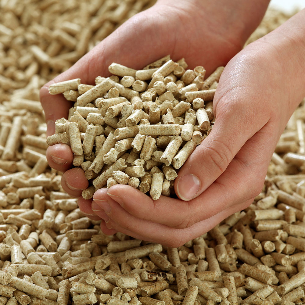 pellets